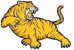 DT Image